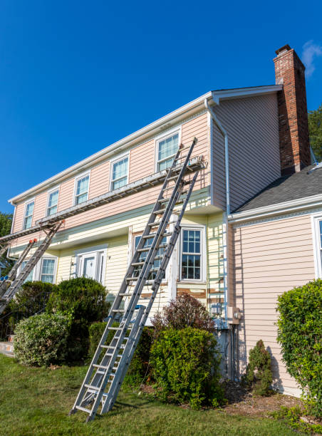 Best Attic Cleanout  in Thomasboro, IL