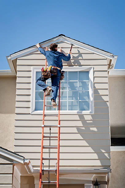 Best Hoarding Cleanup  in Thomasboro, IL